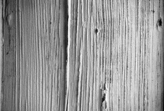 Barnwood | Forming